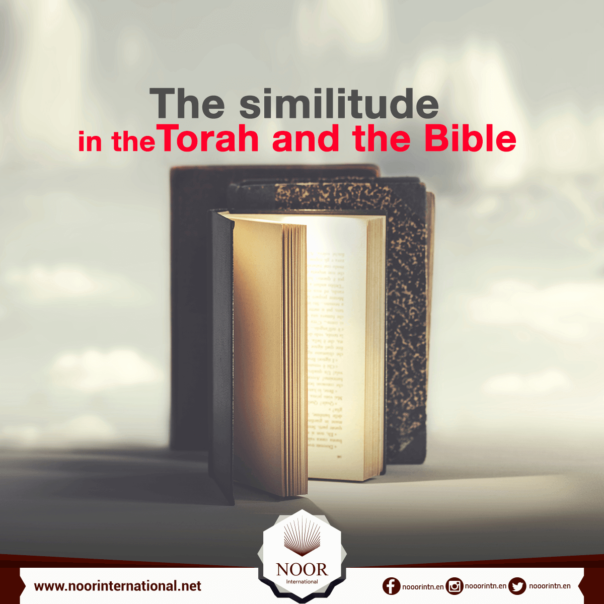 The similitude in the Torah and the Bible