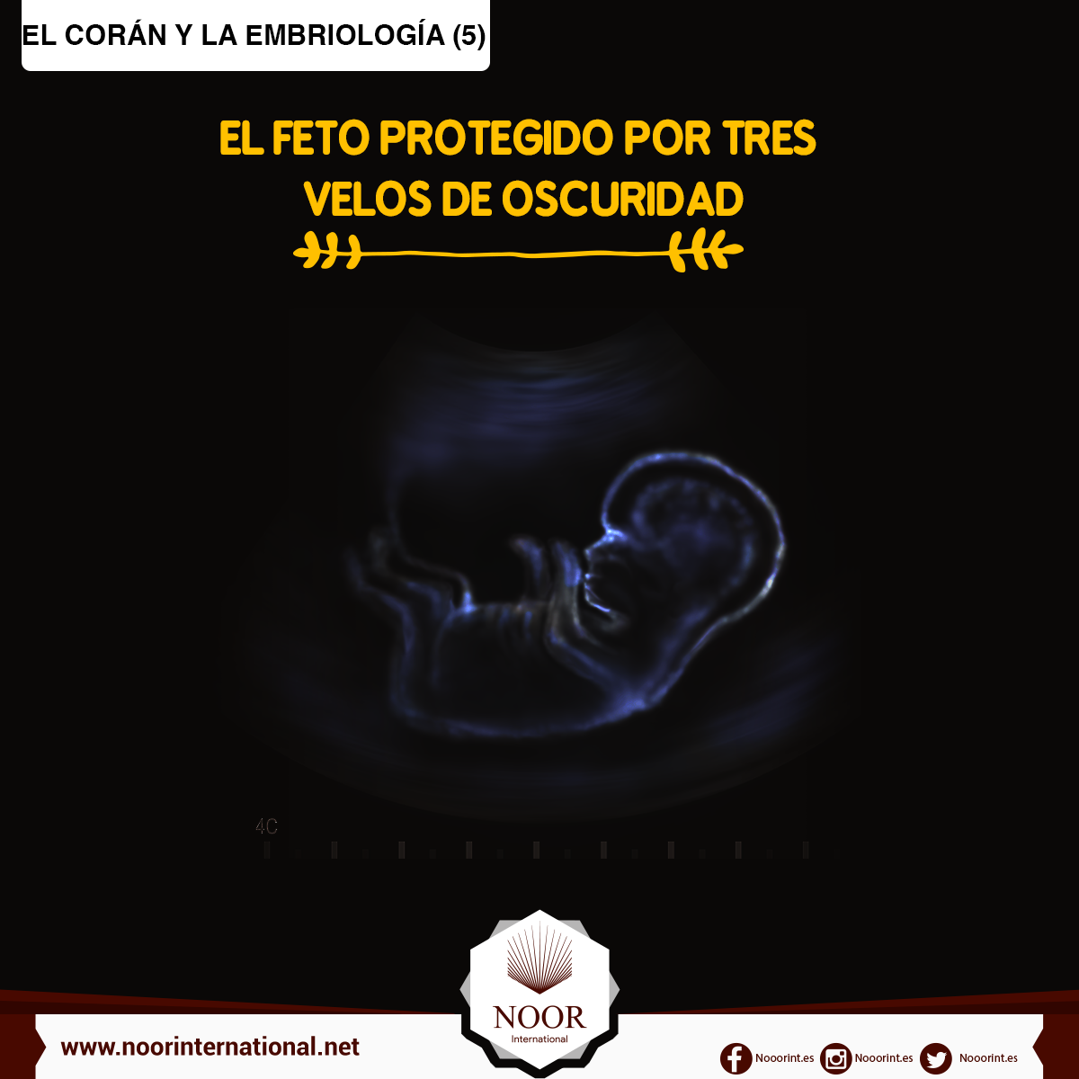 El Corán y la embriología: El feto protegido por tres velos de oscuridad