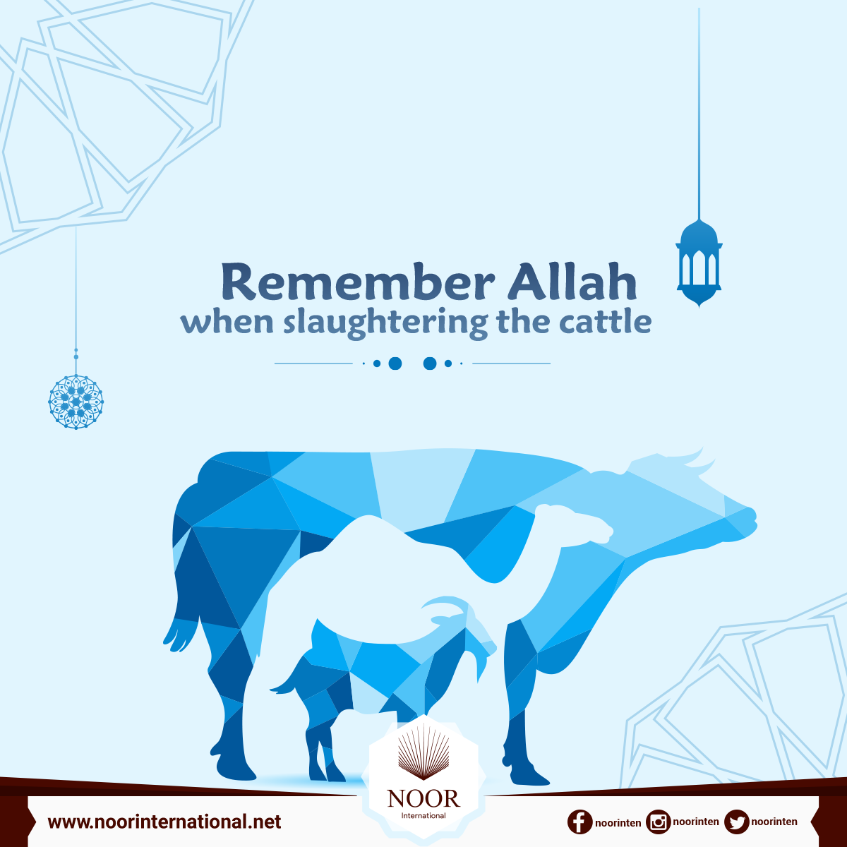 Remember Allah when slaughtering the cattle