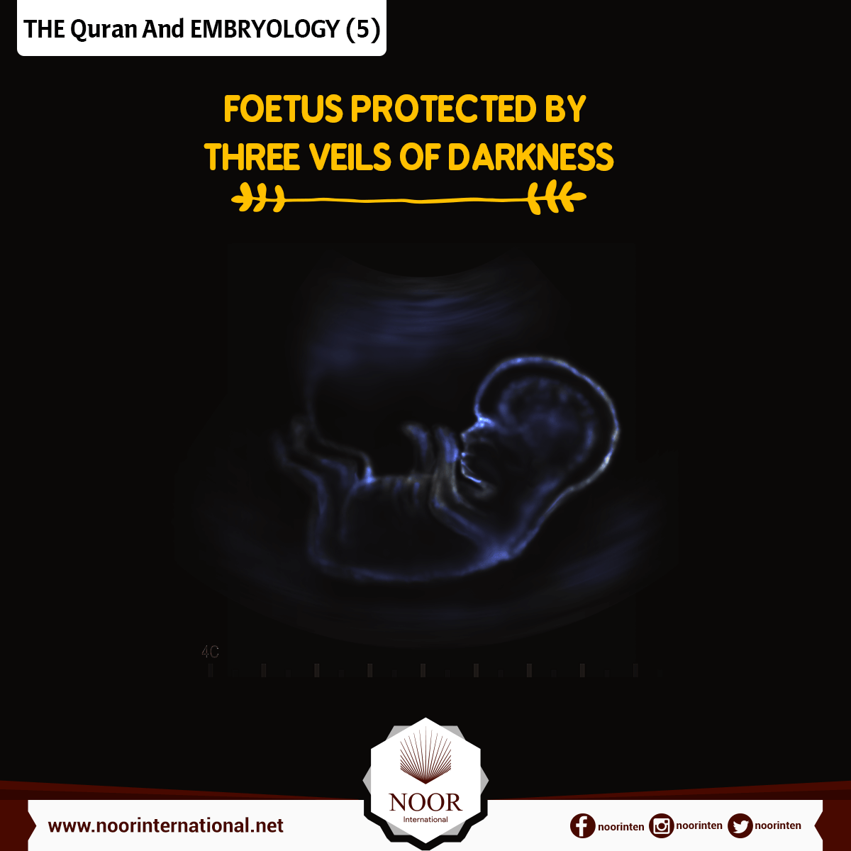 THE Quran And EMBRYOLOGY ( 7 )