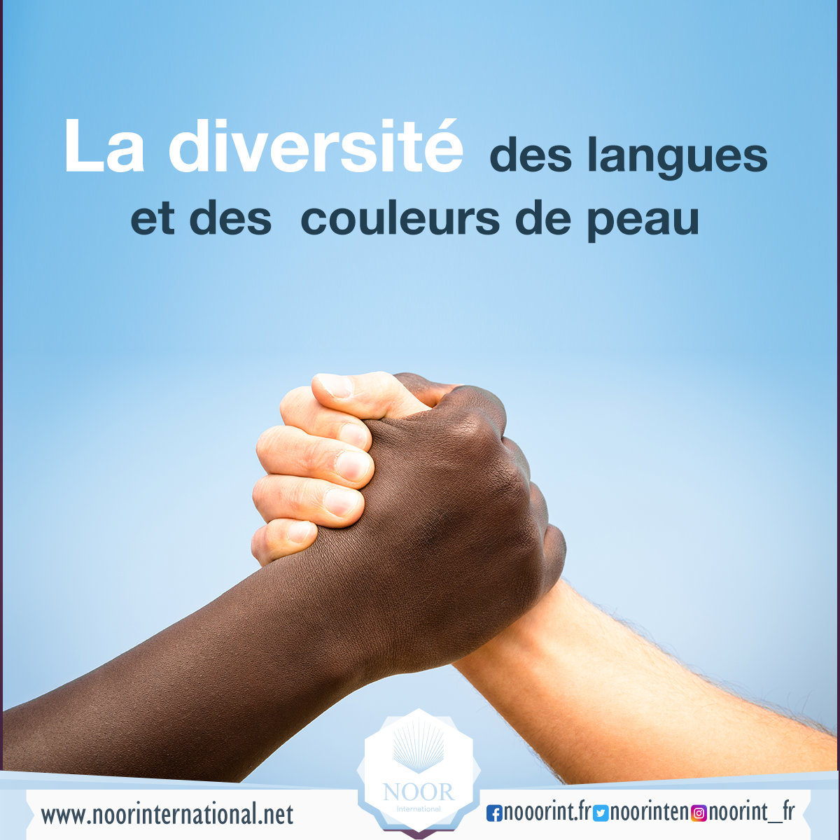 La diversité des langues et des  couleurs de peau