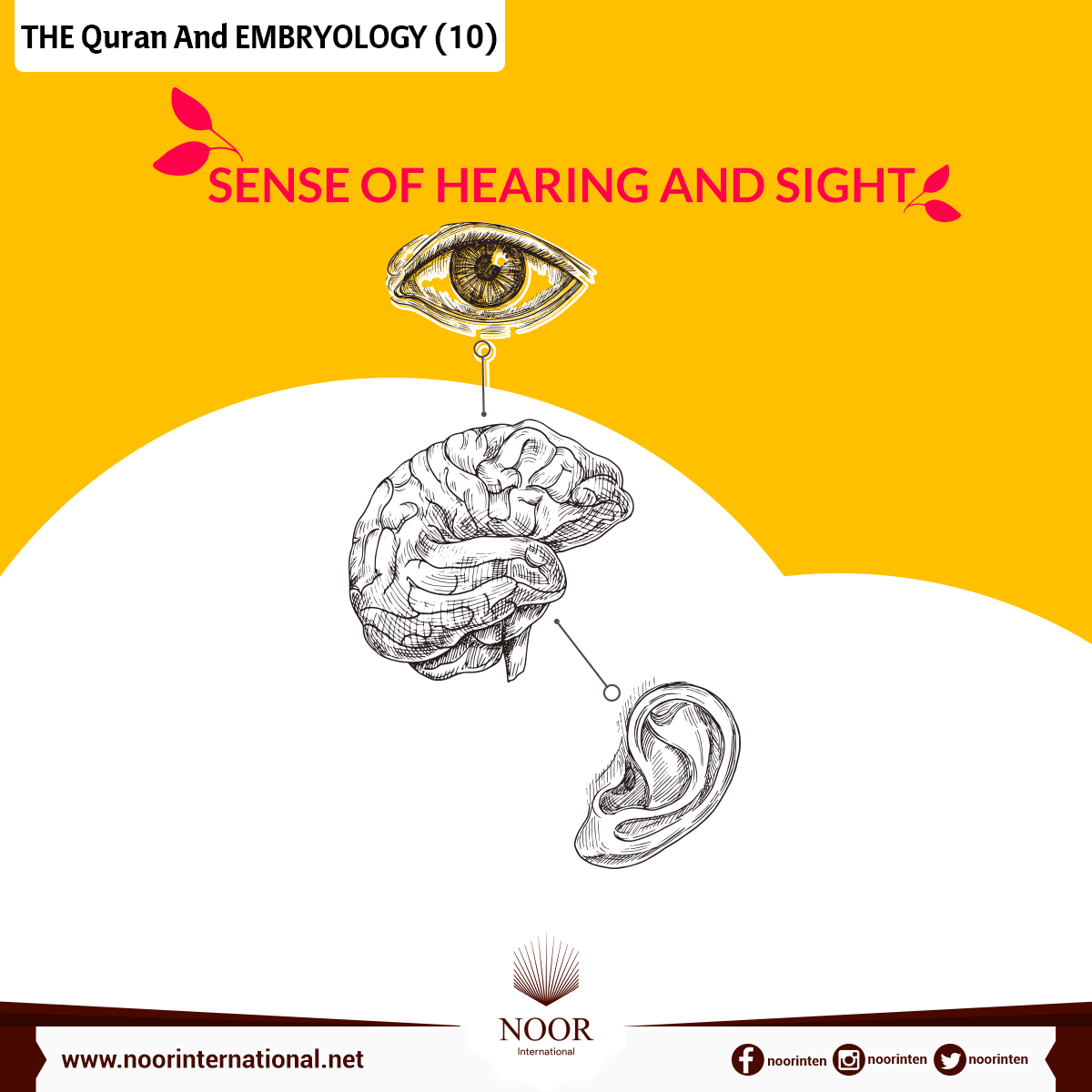 THE Quran And EMBRYOLOGY ( 10 )
