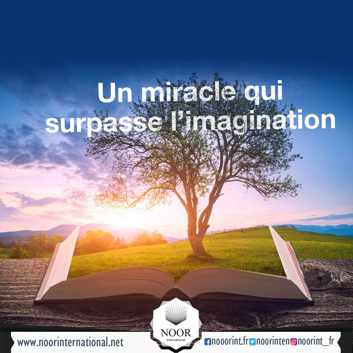 Un miracle qui surpasse l’imagination