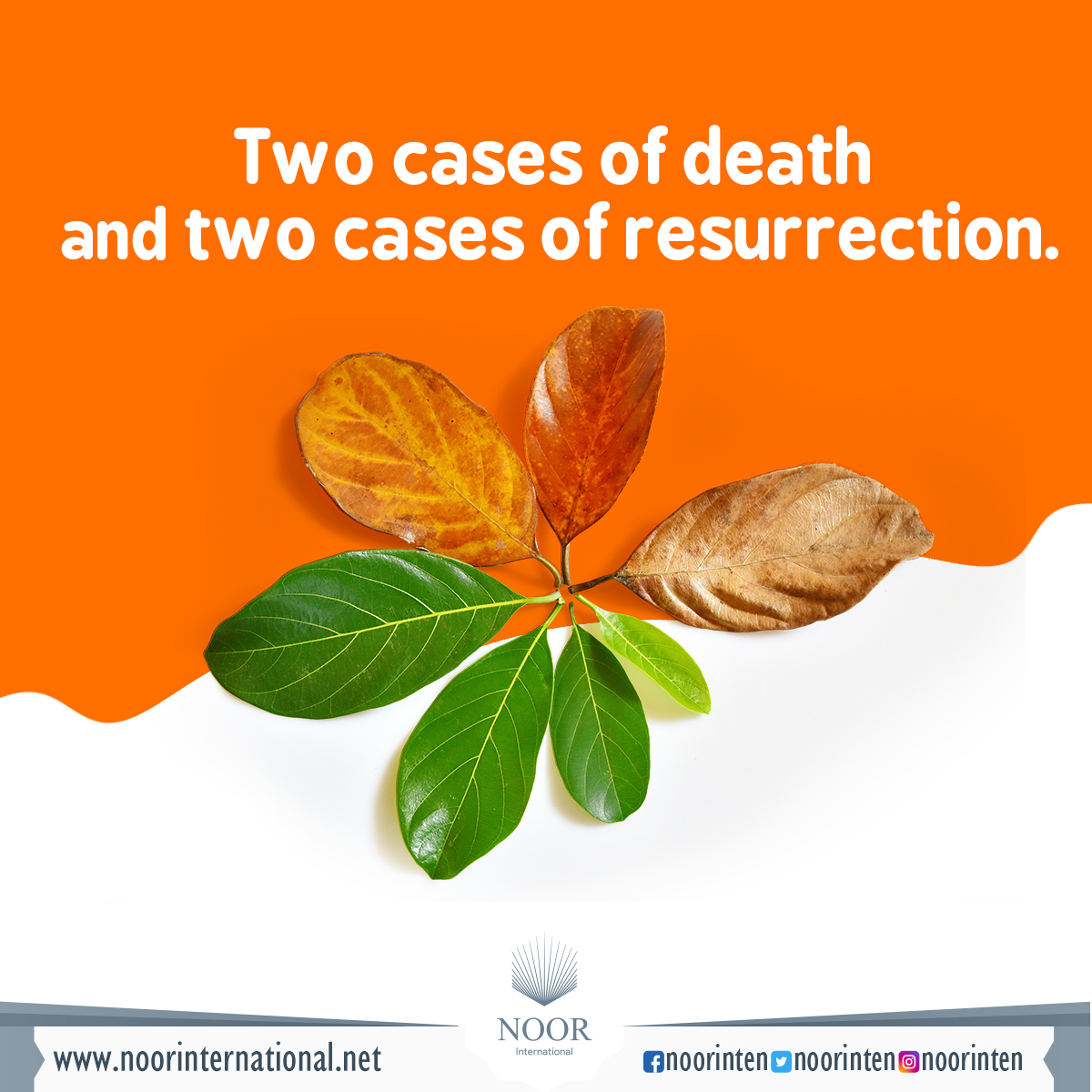 Two cases of death and two cases of resurrection.