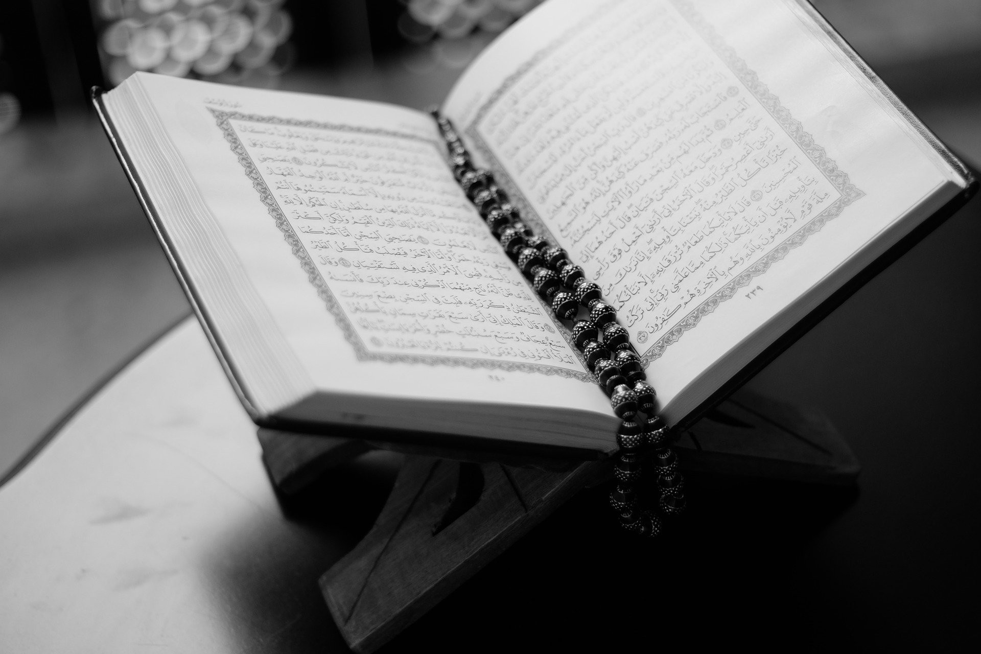 The amazing Quran