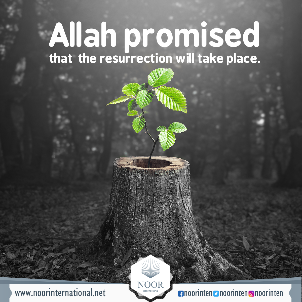 Allah promised that  the resurrection will take place.