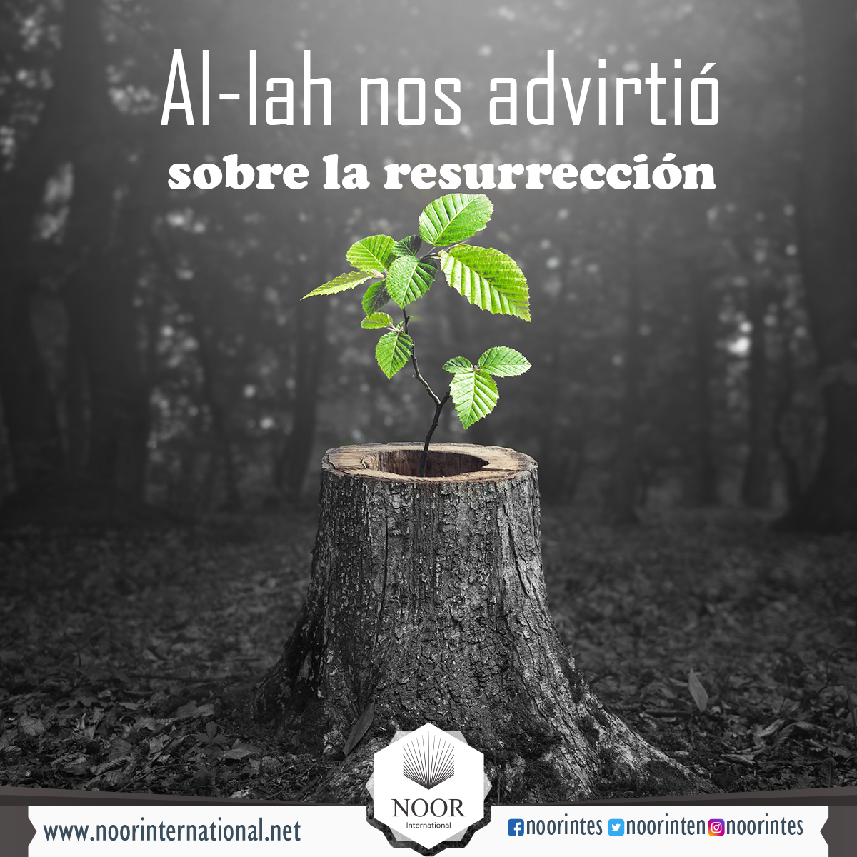 Al-lah nos advirtió sobre la resurrección