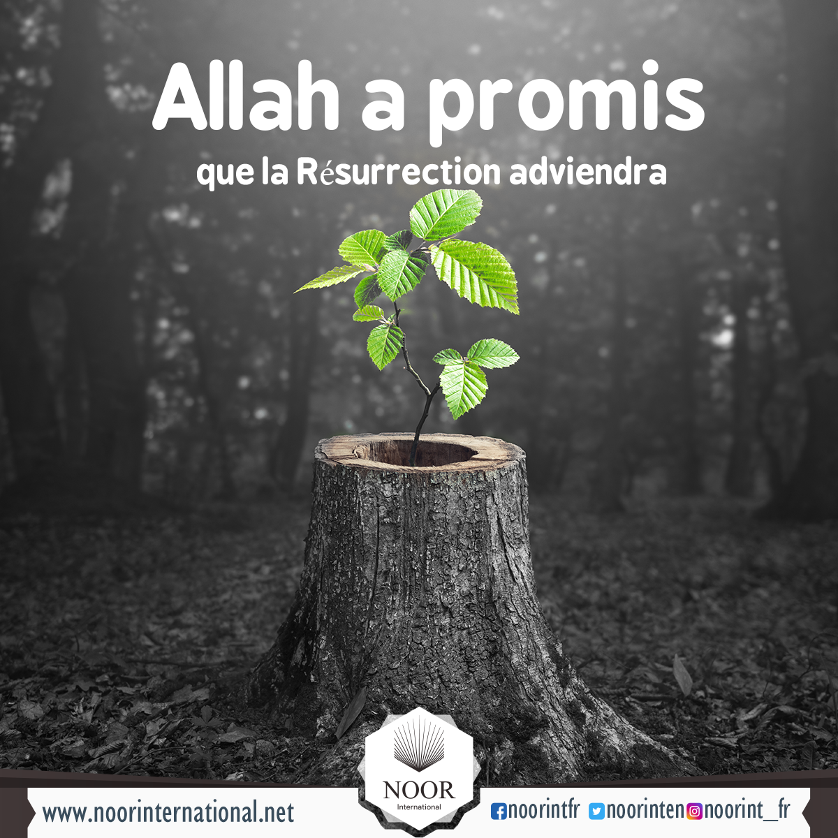 Allah a promis que la Résurrection adviendra