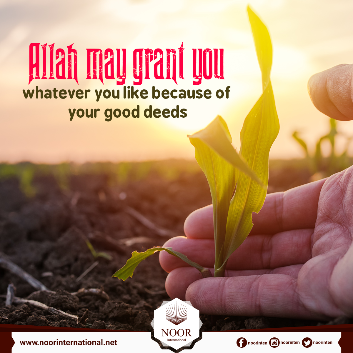 Allah may grant you whatever you like because of your good deeds