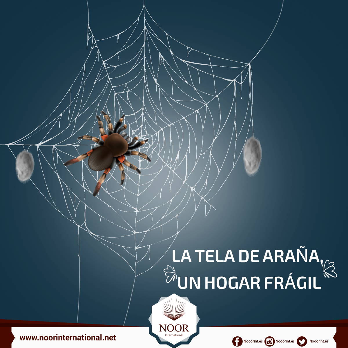 La tela de araña, un hogar frágil
