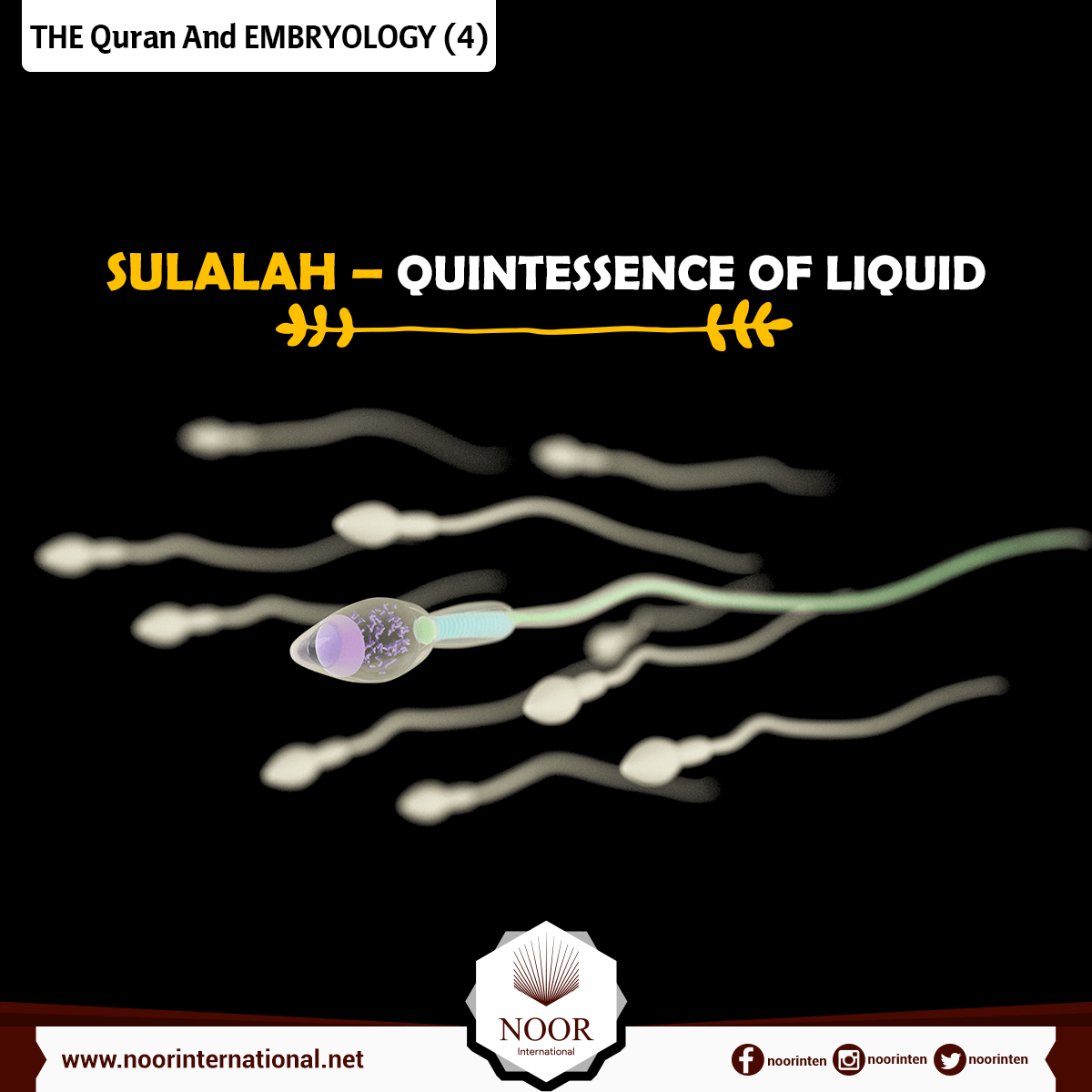 THE Quran And EMBRYOLOGY (1)
