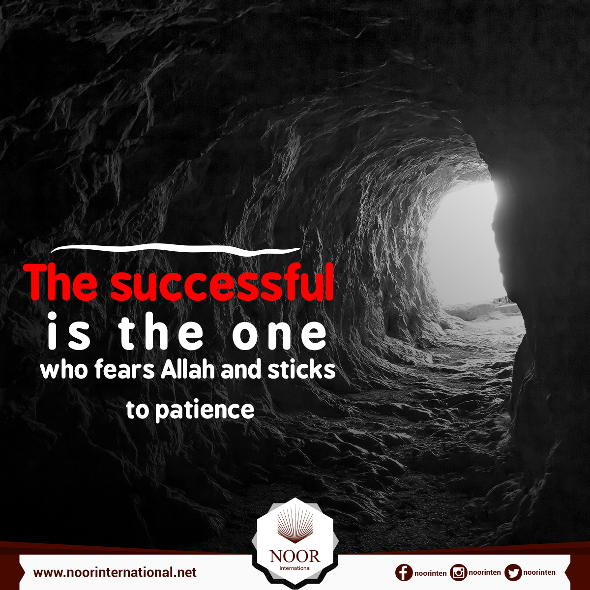 The successful is the one who fears Allah and sticks to patience