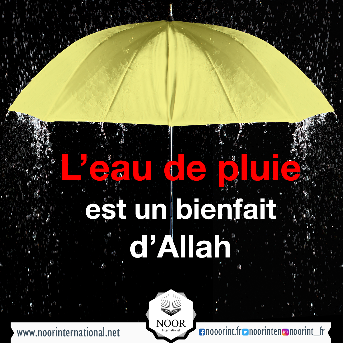 L’eau de pluie est un bienfait d’Allah
