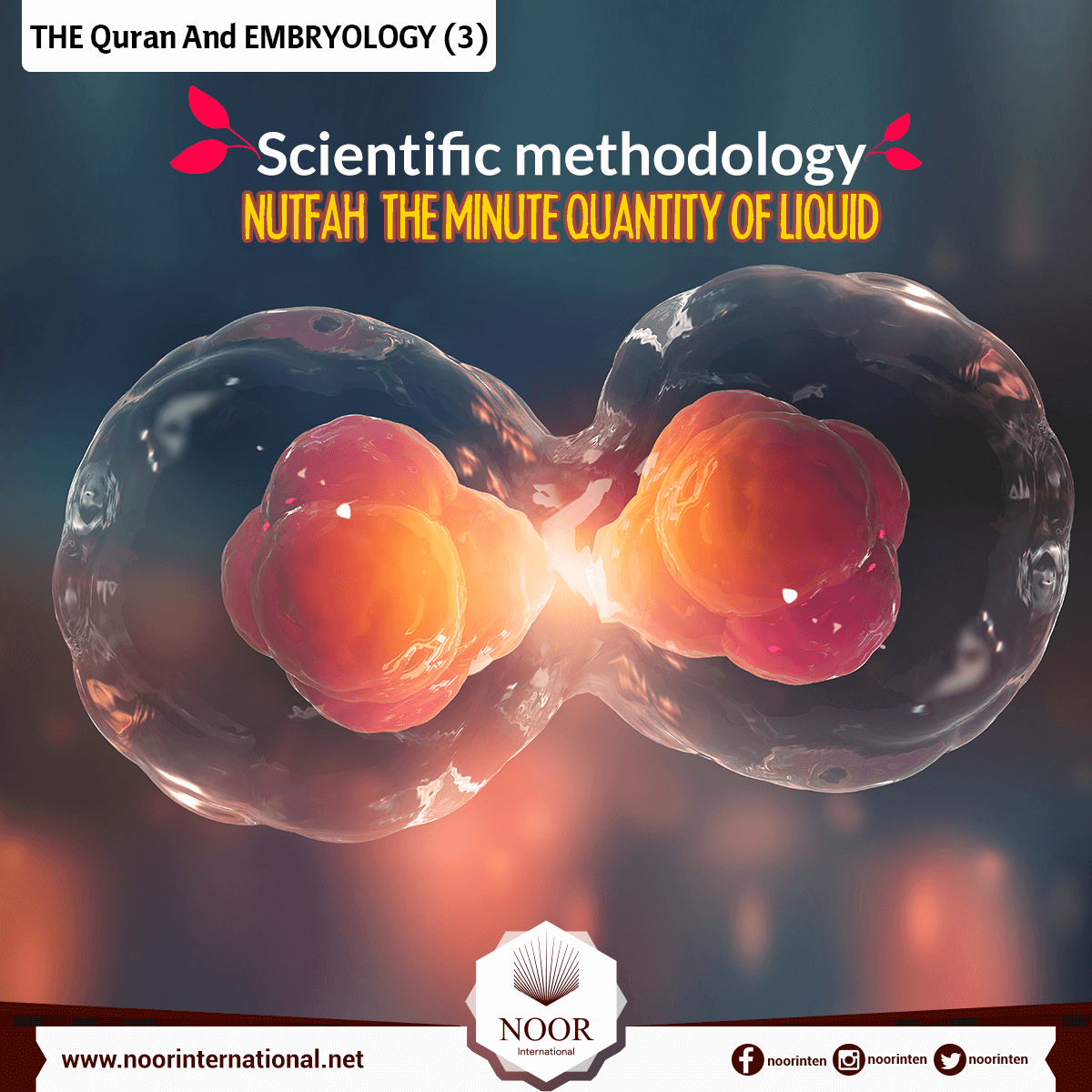 THE Quran And EMBRYOLOGY ( 3 )