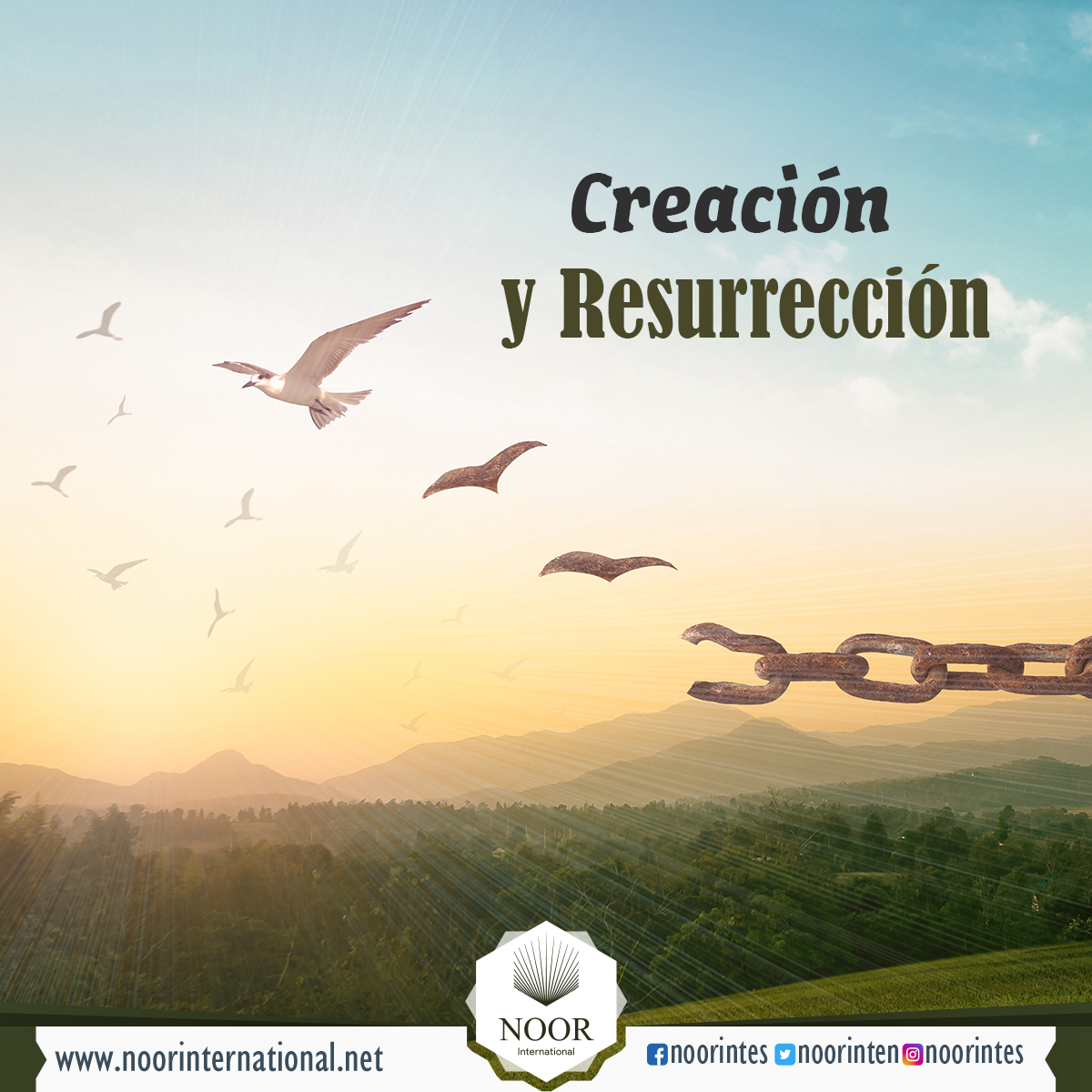 Creación y Resurrección