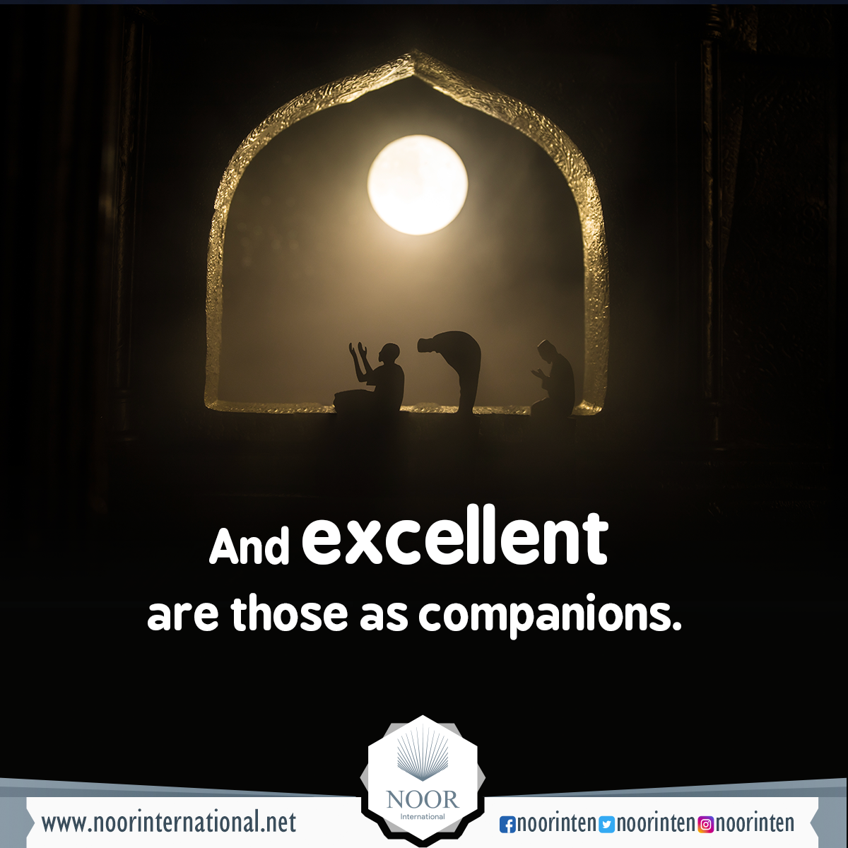 And excellent are those as companions.