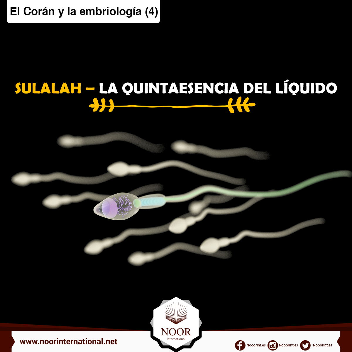 El Corán y la embriología: Sulalah, la quintaesencia del líquido