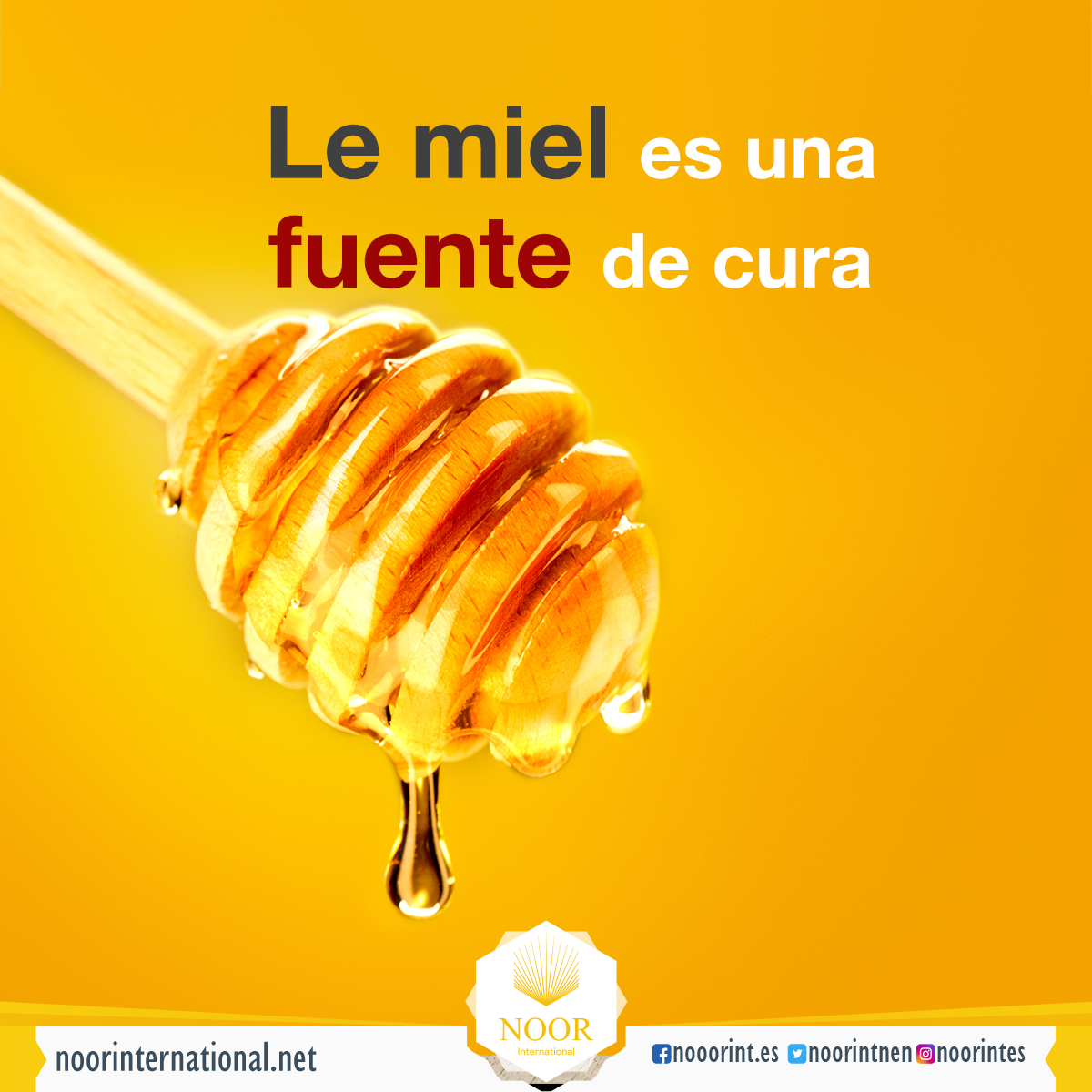La miel es una fuente de cura