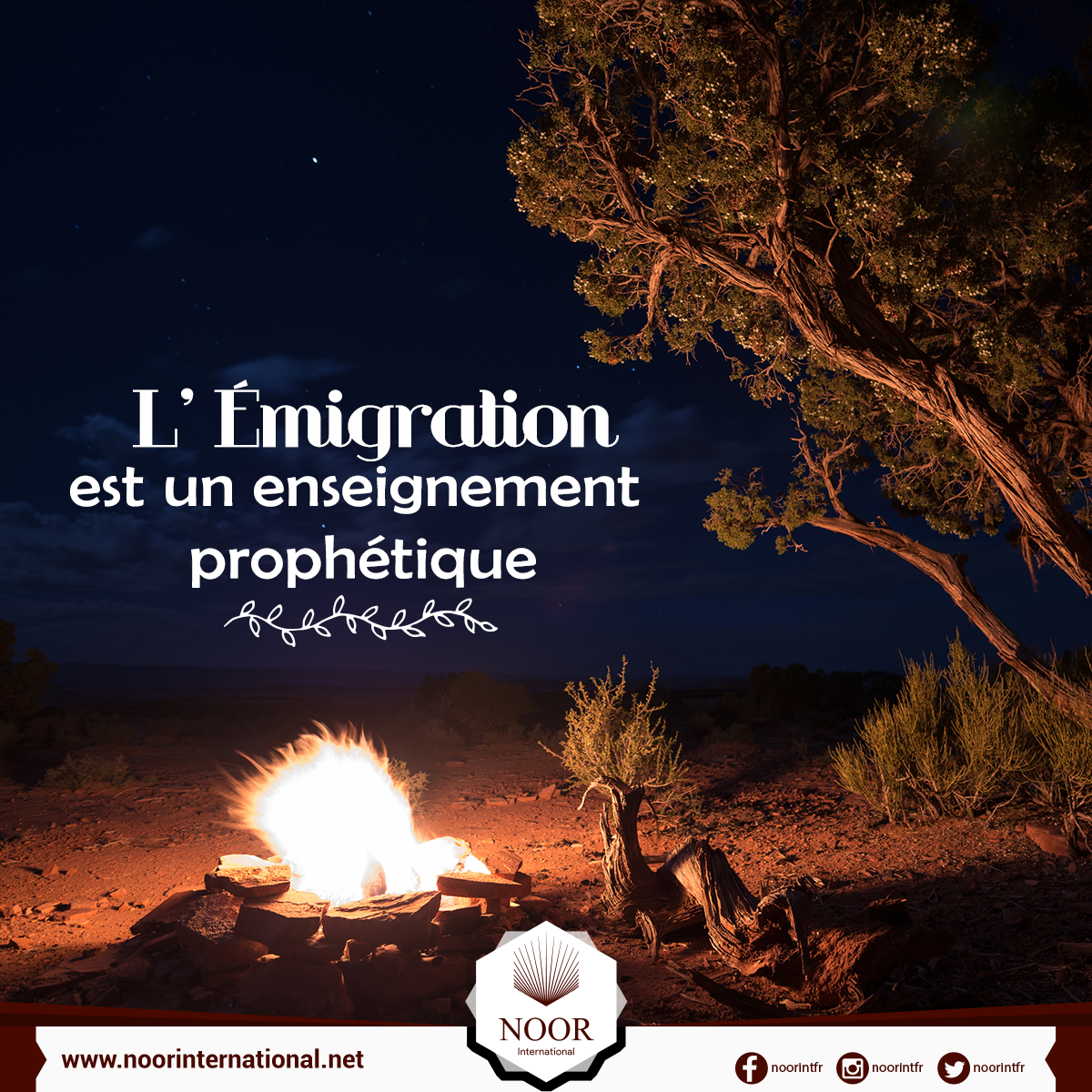 L' Émigration est un enseignement prophétique