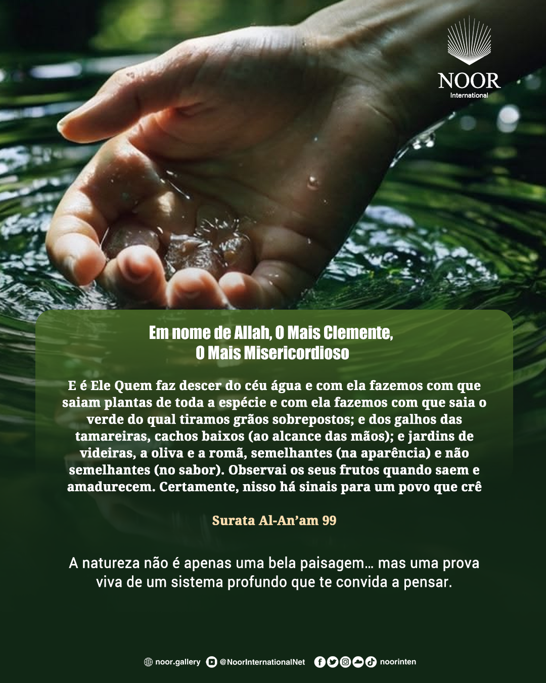 A natureza não é apenas uma bela paisagem…