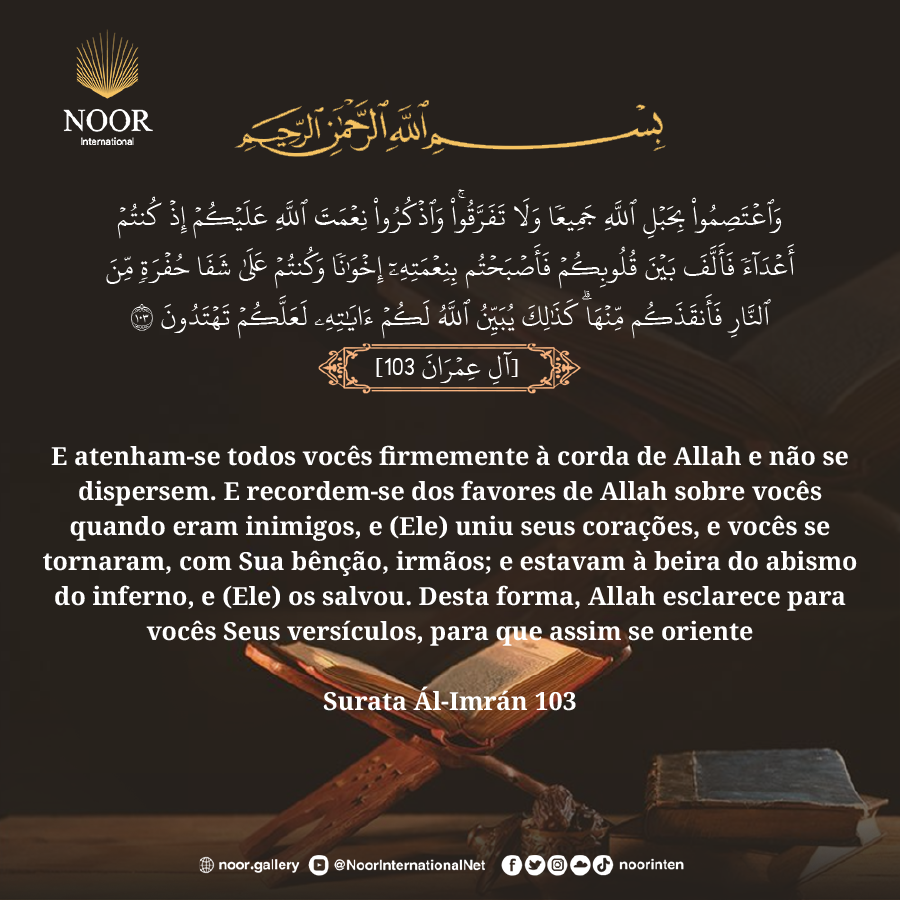 E os servos (verdadeiros crentes) do Misericordioso são aqueles que caminham