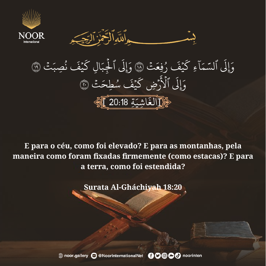 {Acaso não observam os camelos, como foram criados? ...