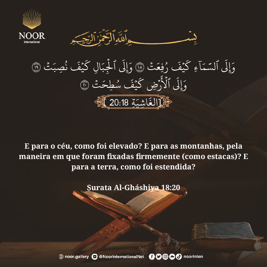 Acaso não olham (os incrédulos) para os camelos...