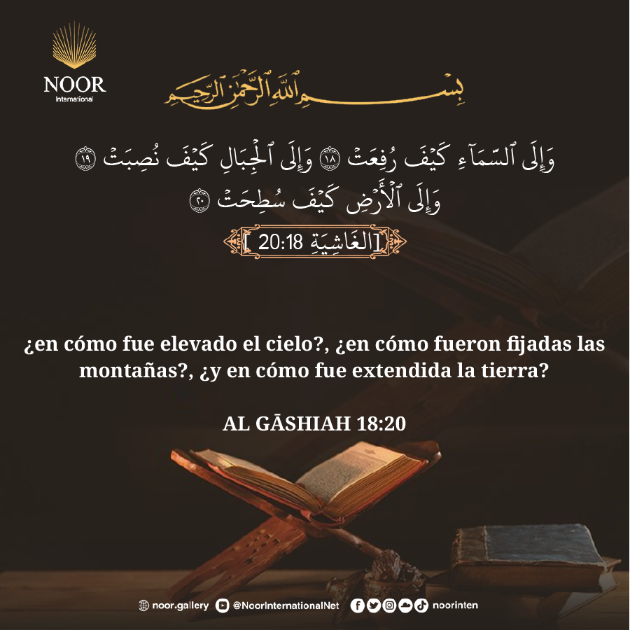 ¿Acaso no reparan en cómo fue creado el camello?...