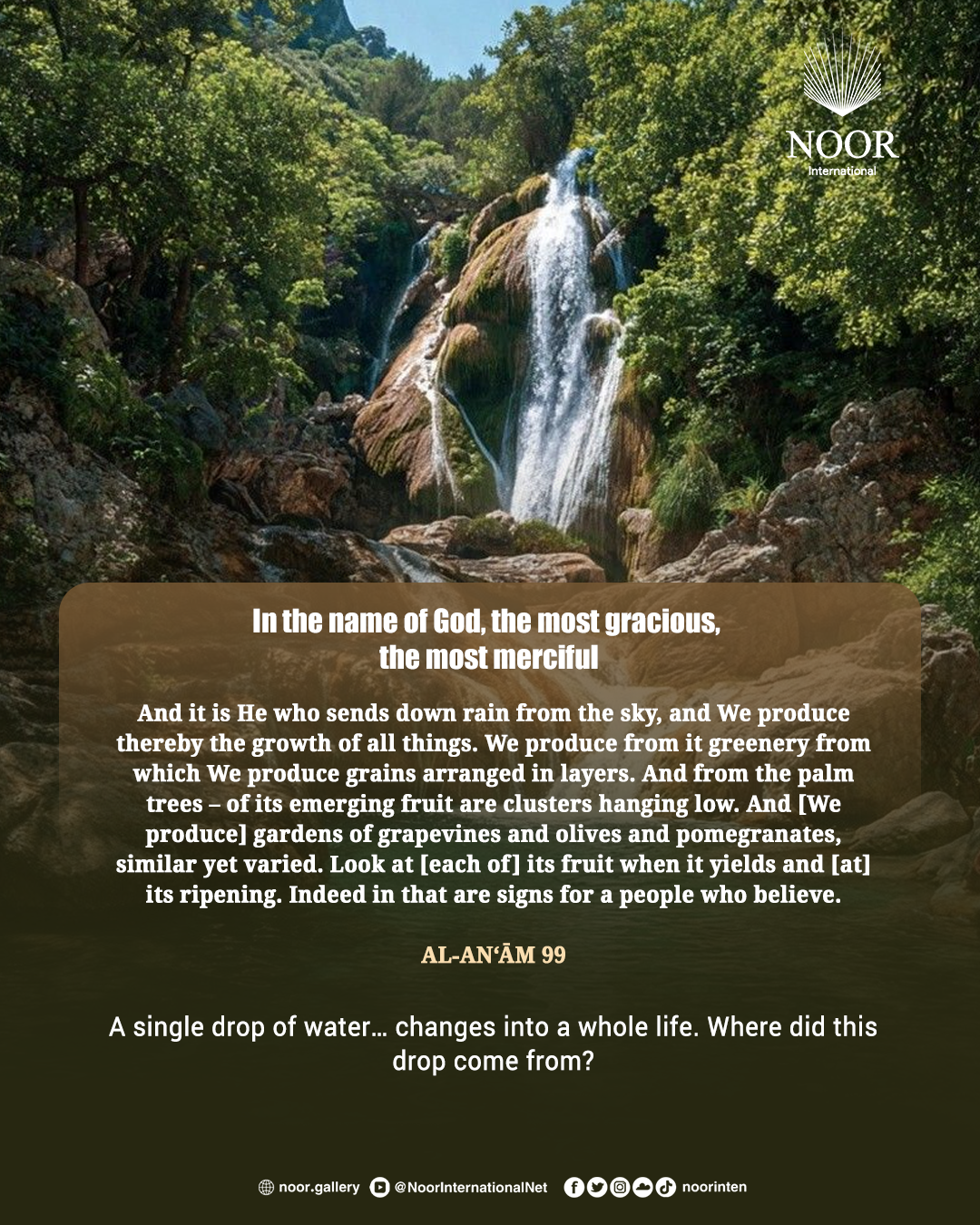 A single drop of water…