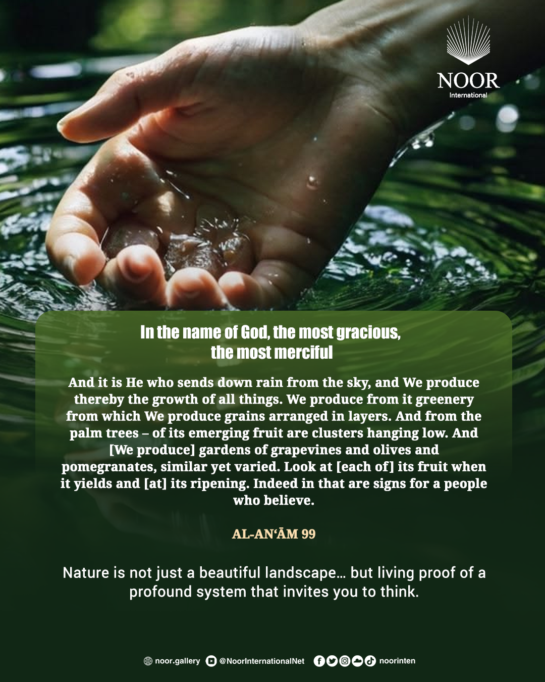 Nature is not just a beautiful landscape…