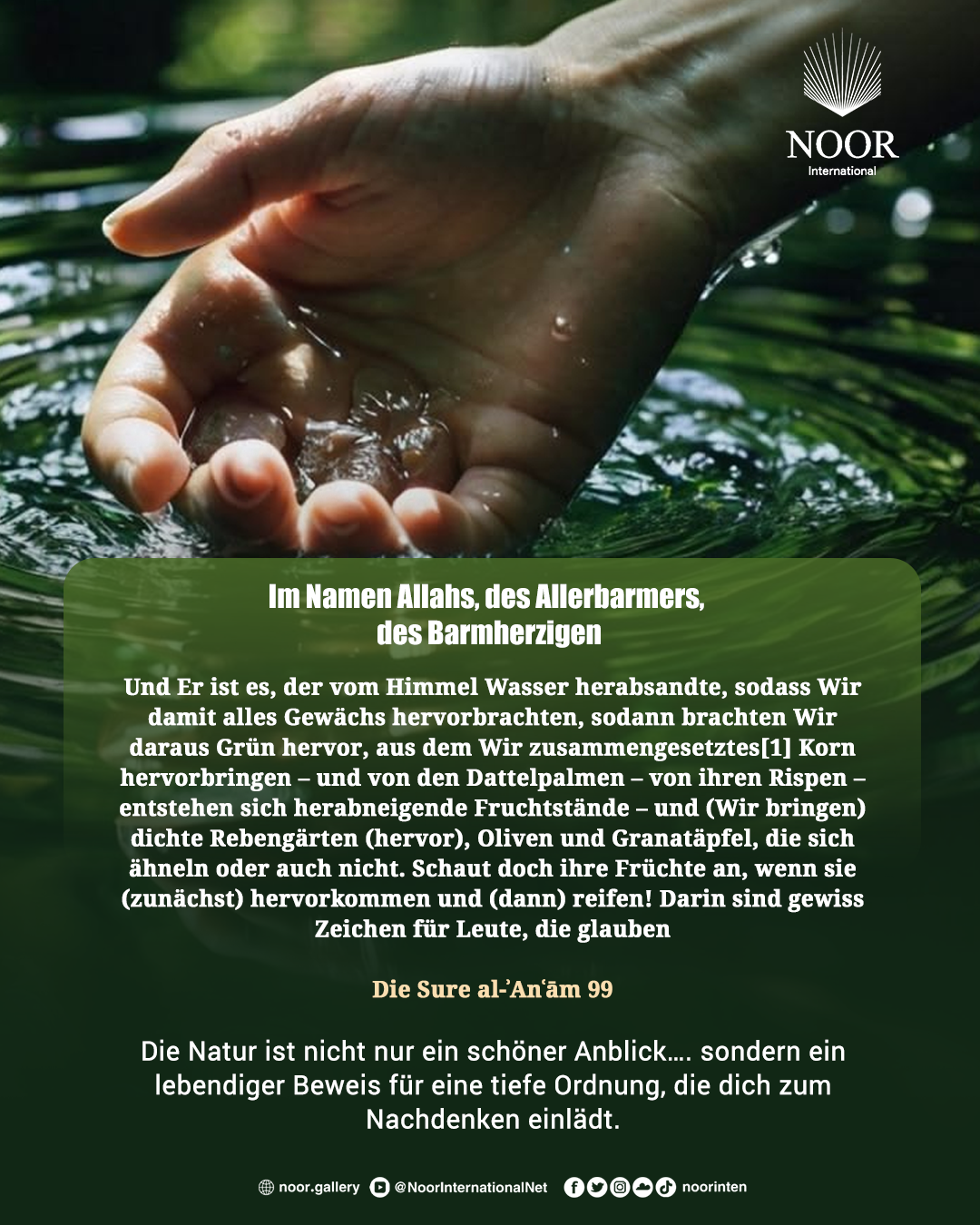Die Natur ist nicht nur ein schöner Anblick….