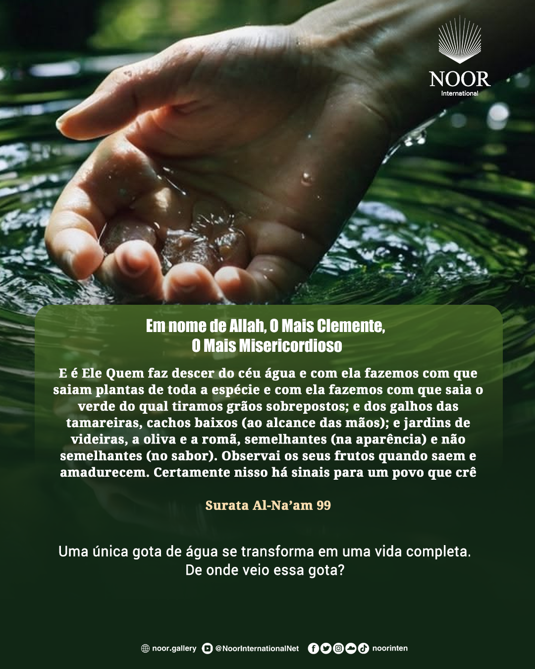 A natureza não é apenas uma bela paisagem…