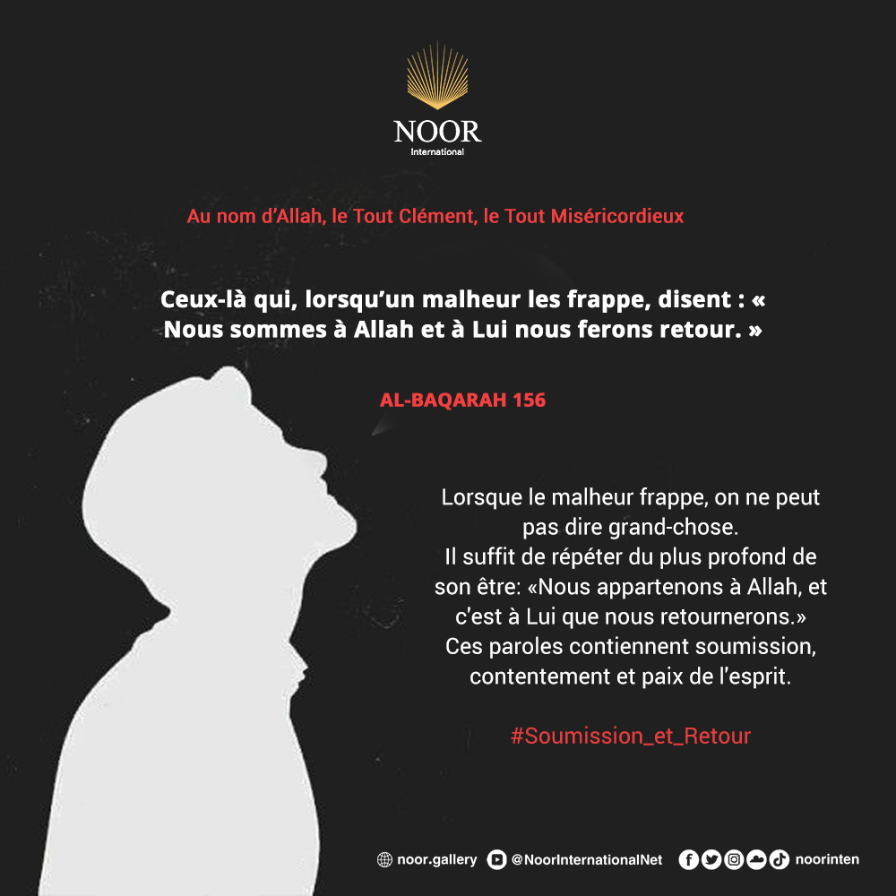 L'insouciance endurcit les cœurs,"