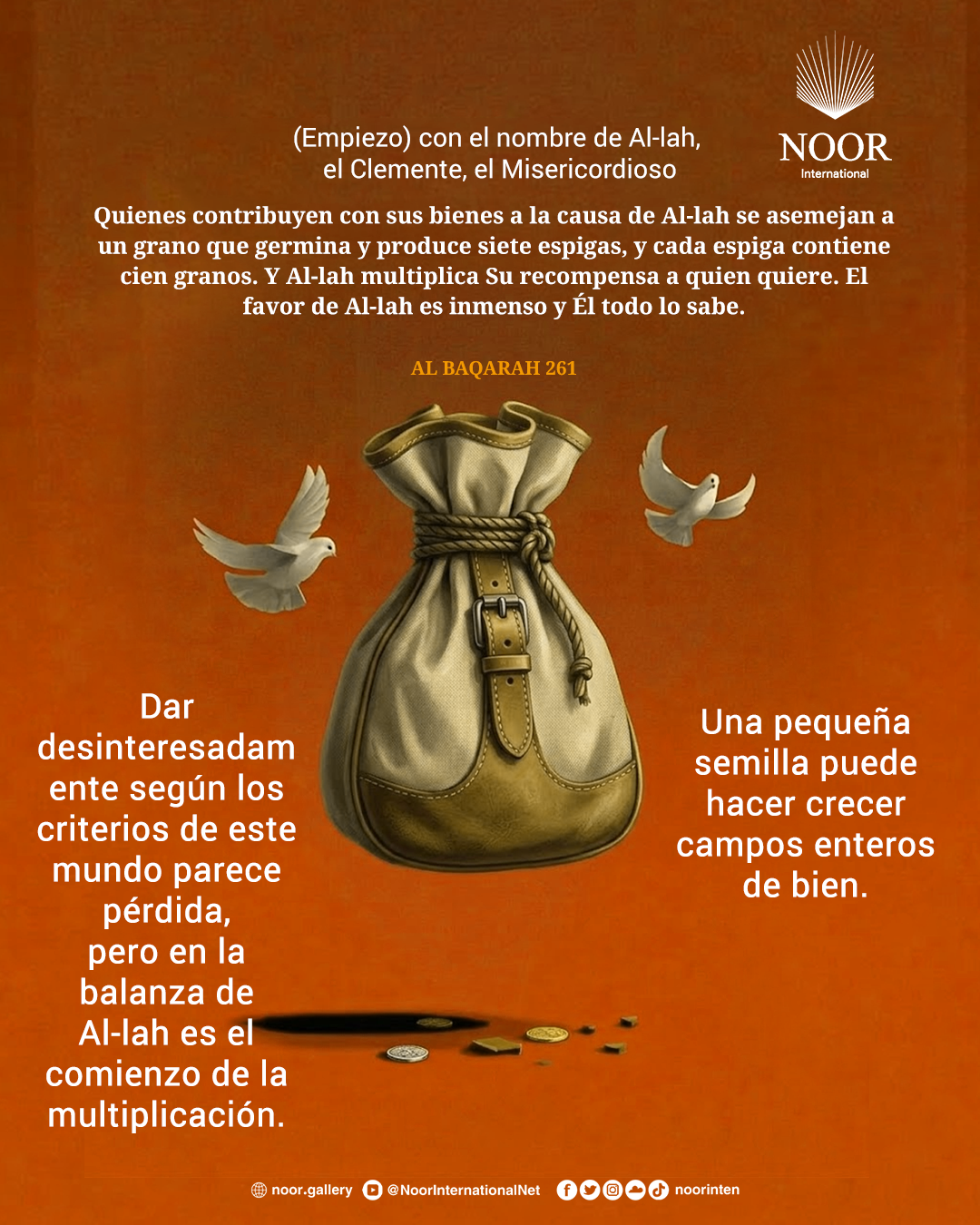 Dar desinteresadamente según los criterios de este mundo parece pérdida,