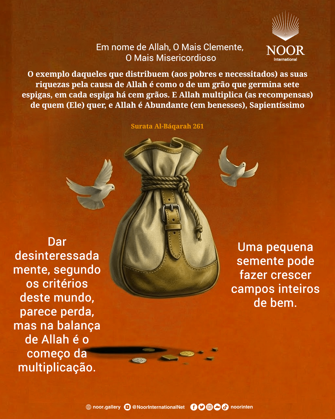 Dar desinteressadamente, segundo os critérios deste mundo, parece perda,