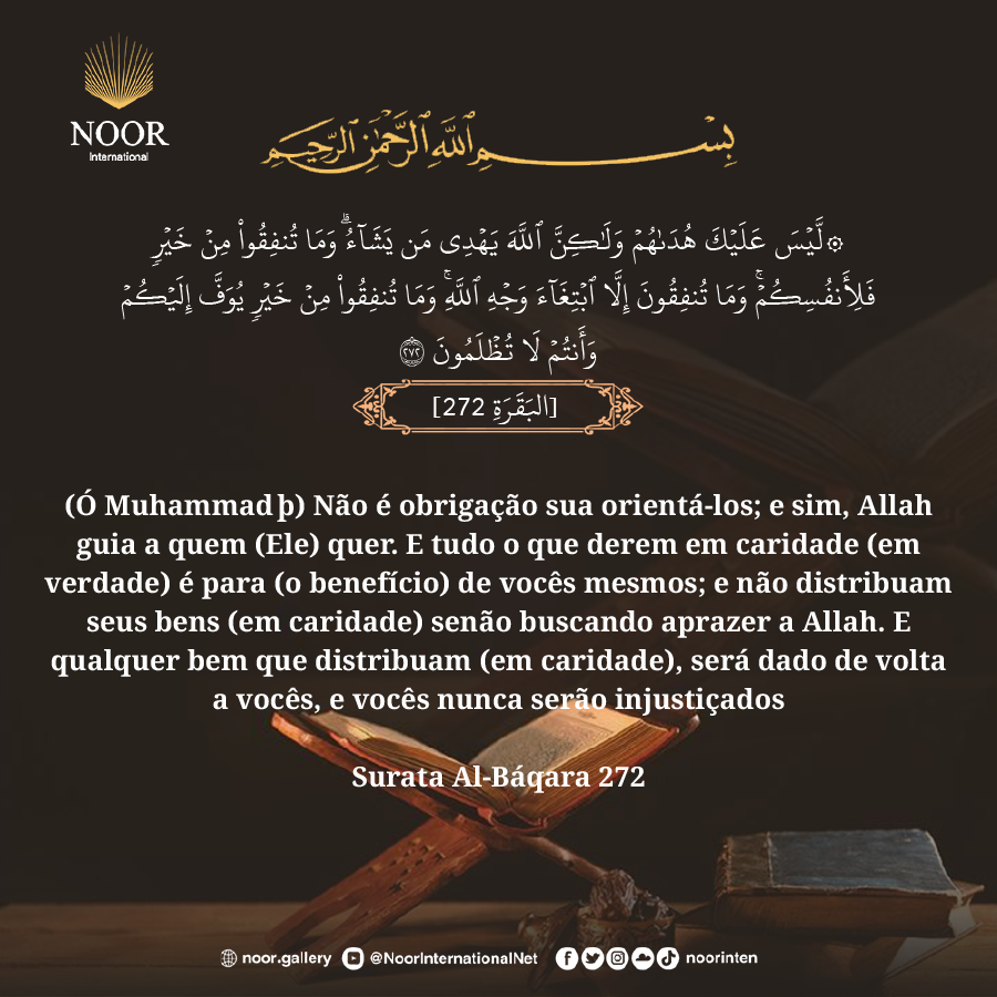 E os servos (verdadeiros crentes) do Misericordioso são aqueles que caminham