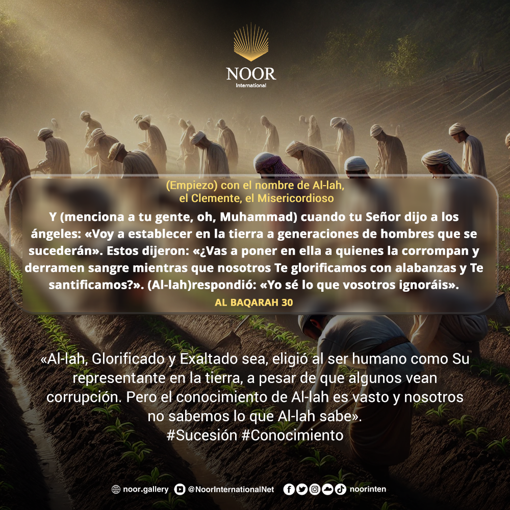 «Dios no obliga a la gente a creer, sino que les deja