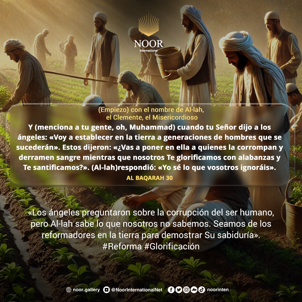 «Dios no obliga a la gente a creer, sino que les deja