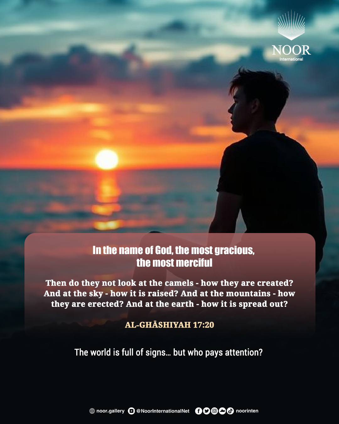 The world is full of signs… but who pays attention?