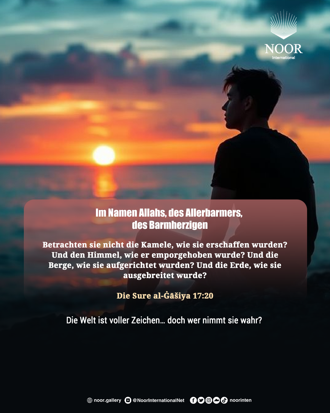 Die Welt ist voller Zeichen…