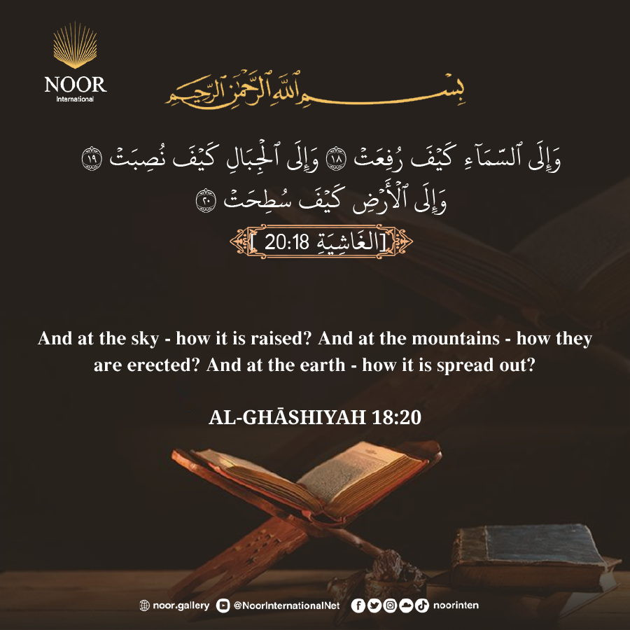 Do they not look at the camels, how they were created? And at the sky,..