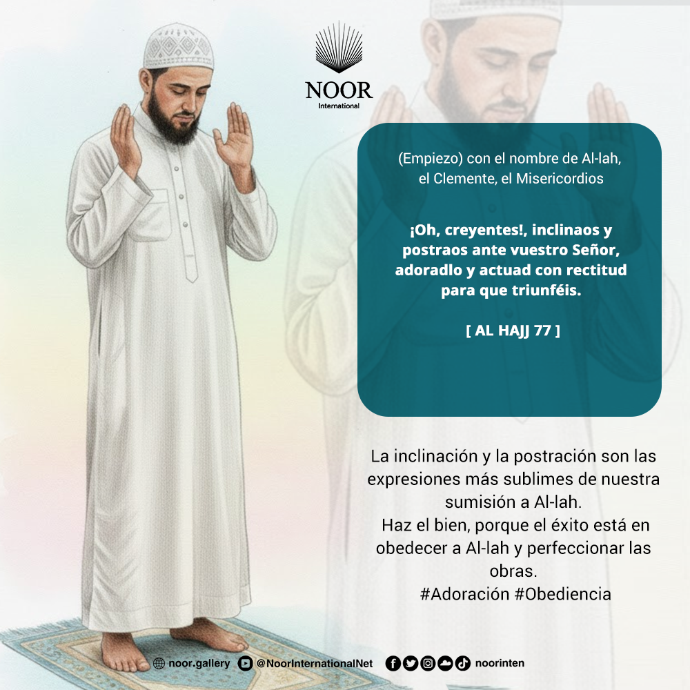 En cada relato e información sobre los Mensajeros encontramos."