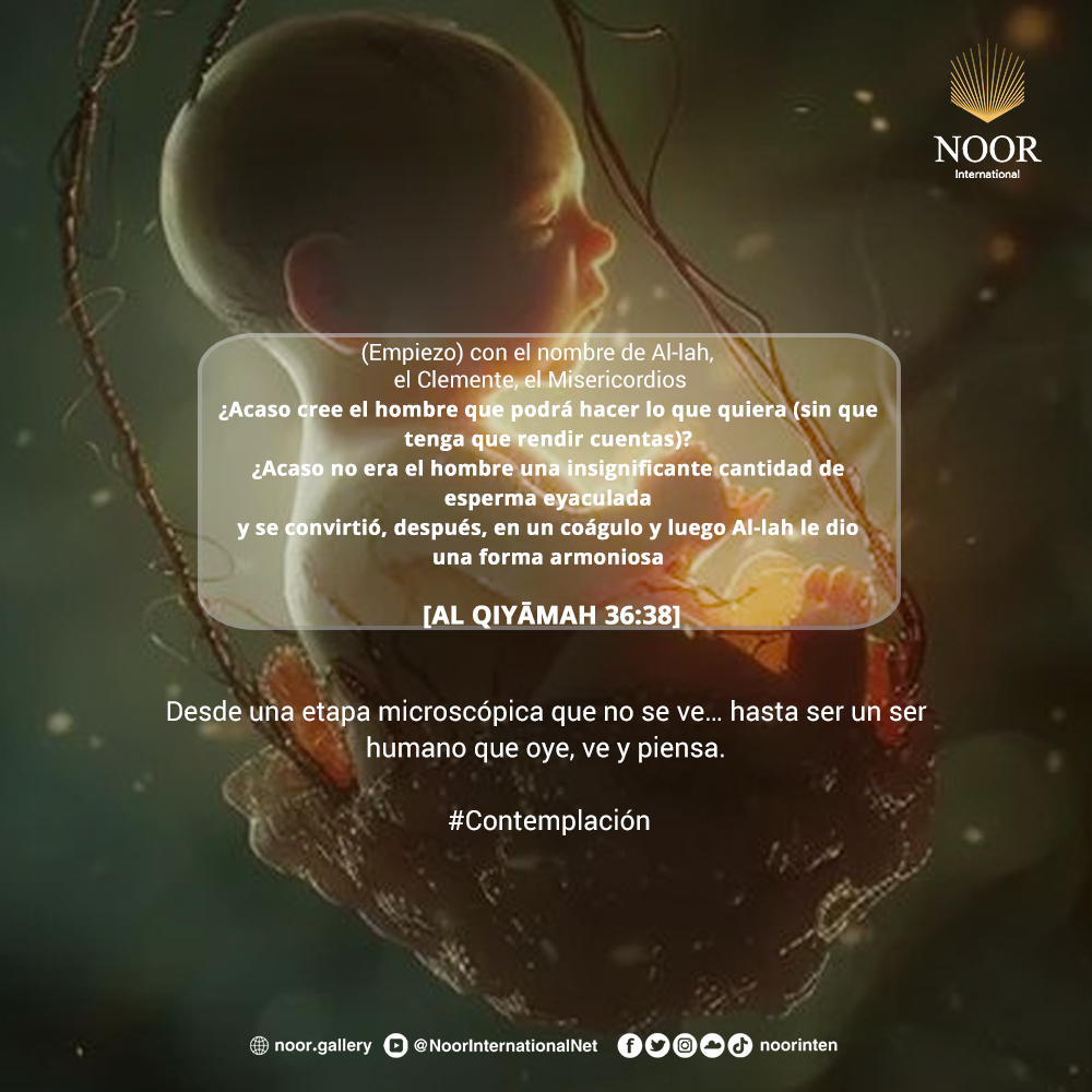 Desde una etapa microscópica que no se ve…