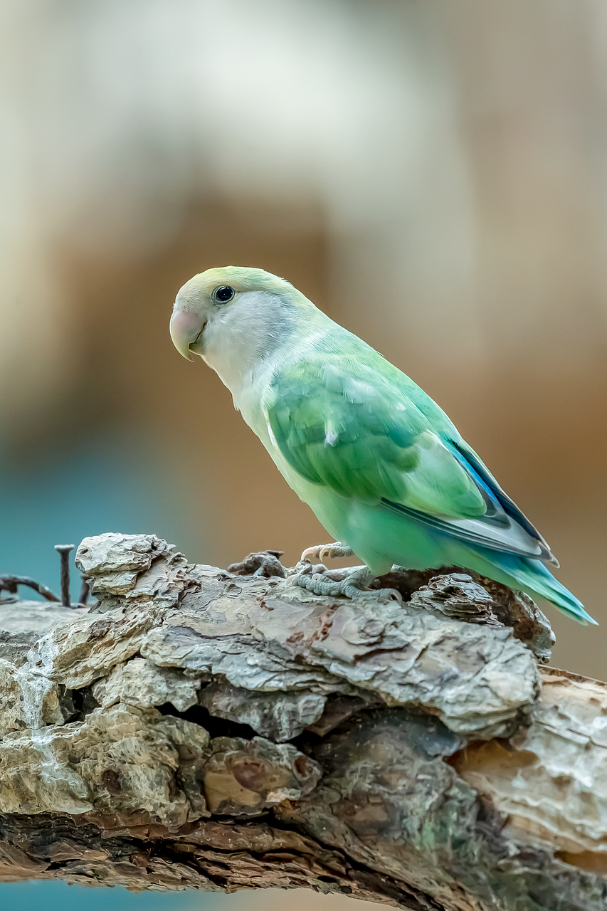 فساد و دعوت: دو راه، دو سرانجام