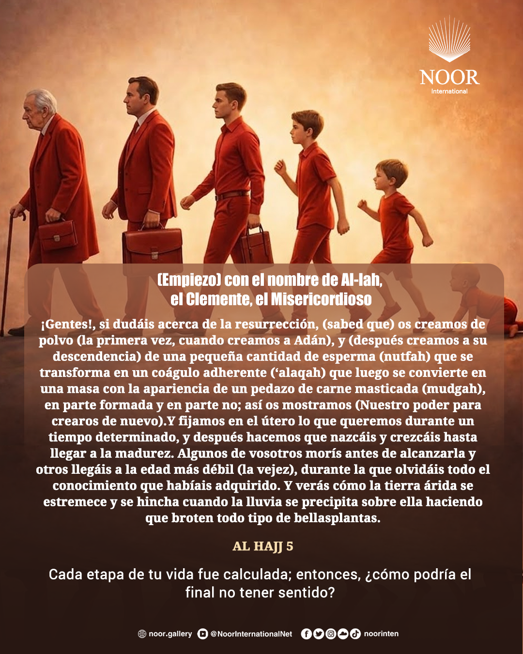 Cada etapa de tu vida fue calculada; entonces, ¿cómo