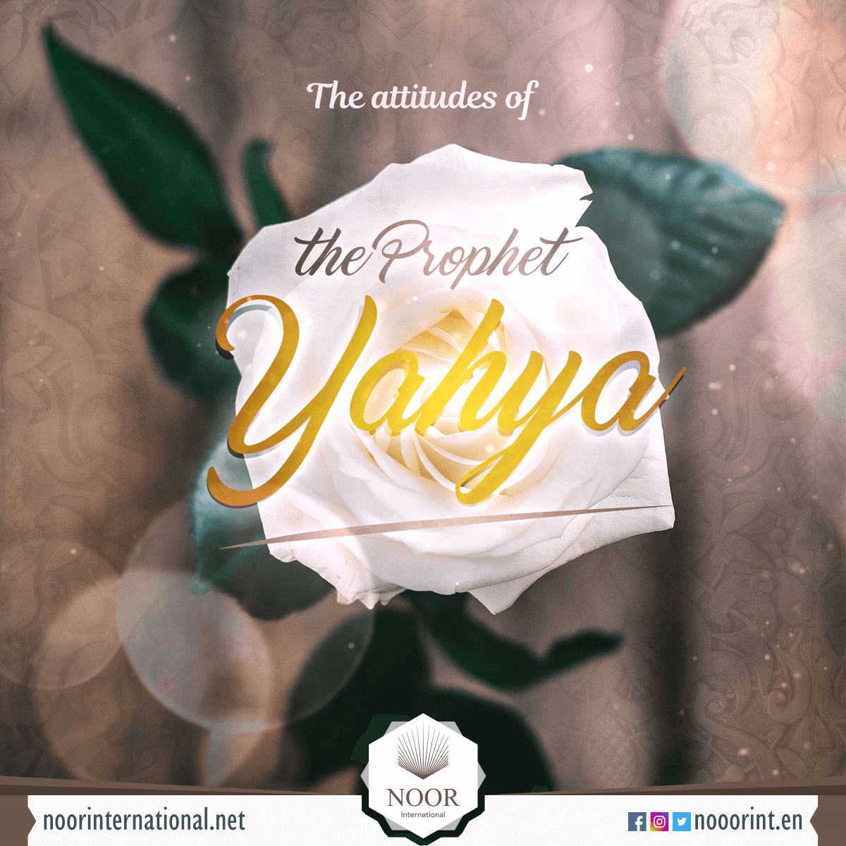 The attitudes of the Prophet Yahya