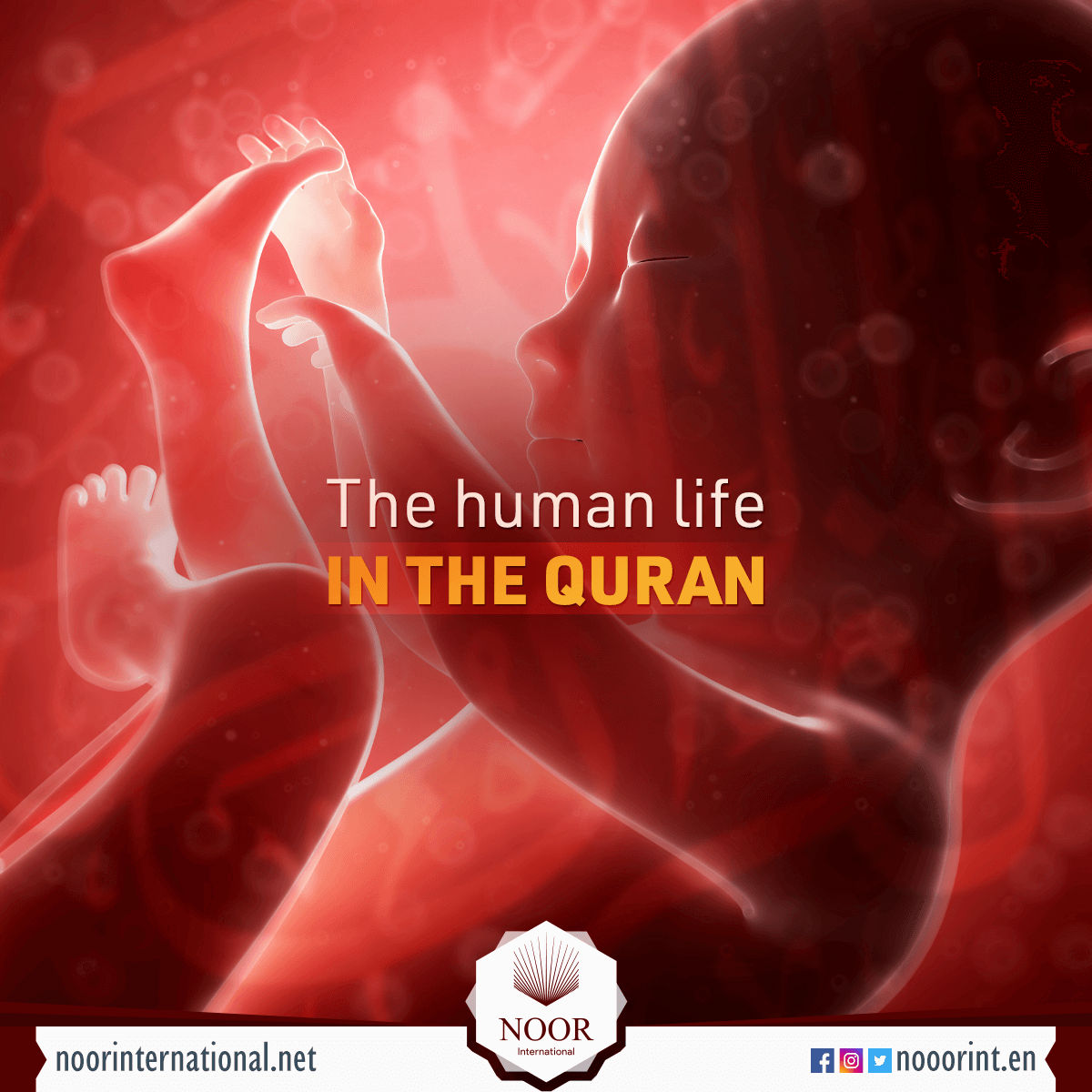 The human life in the Quran