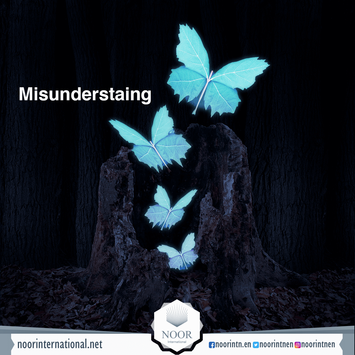 Misunderstaing