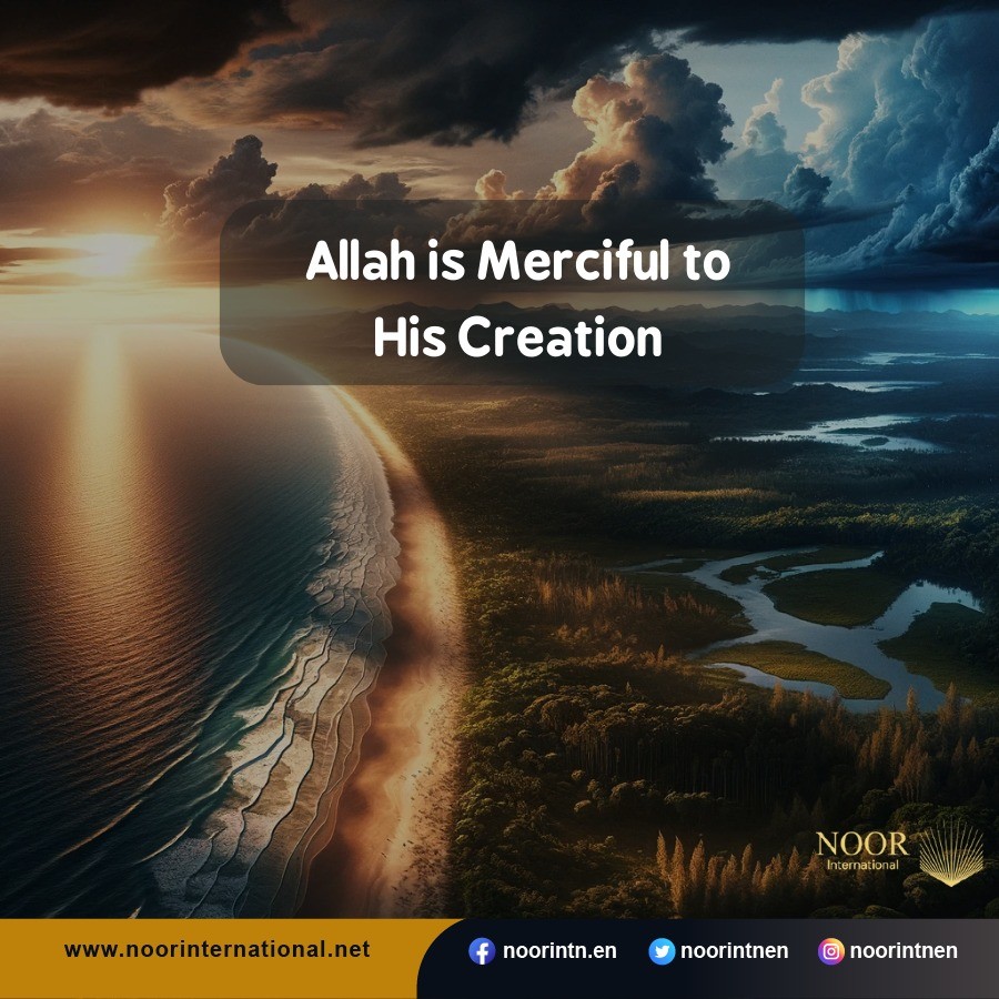 Allah is Merciful to His Creation.