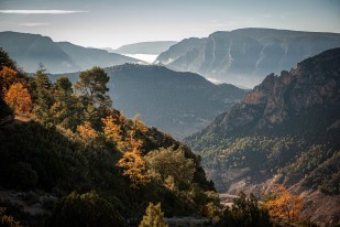 ​As-tu considéré celui qui a pris sa propre passion comme divinité ?..'